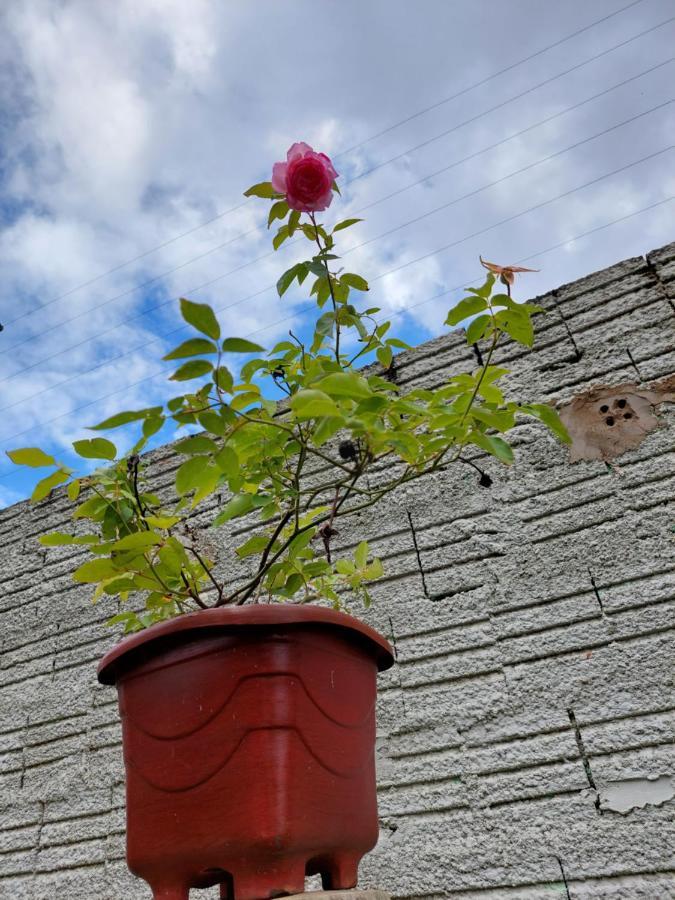 Pousada Luar Chapada dos Guimarães Eksteriør billede